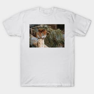 Red Squirrel T-Shirt